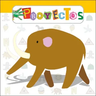 Por Proyectos
